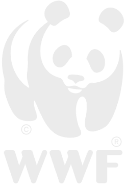 WWF_Logo
